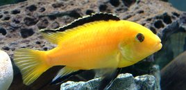 2190_17.jpg